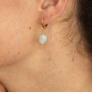 Boucle oreille plaque or leopold olive unite